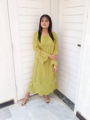 Embroidered chikankari