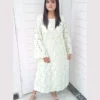 Untitled-2-03 Mint Green Chikankari 2-Piece Lawn Set