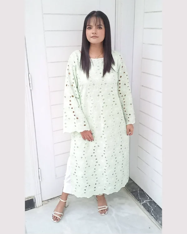 Untitled-2-03 Mint Green Chikankari 2-Piece Lawn Set