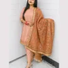 Untitled-3-19 Peach Suit with Mirror Net Dupatta