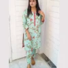 Elegant Mint Green Floral Printed 2 Piece Lawn Suit For Women